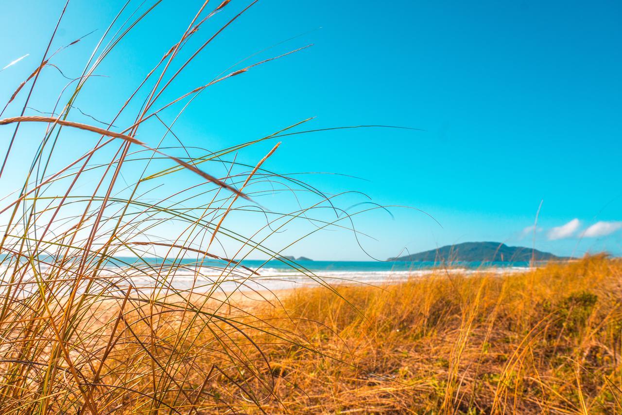 شقة Florianópolis  في Apto Na Praia Do Ingleses المظهر الخارجي الصورة